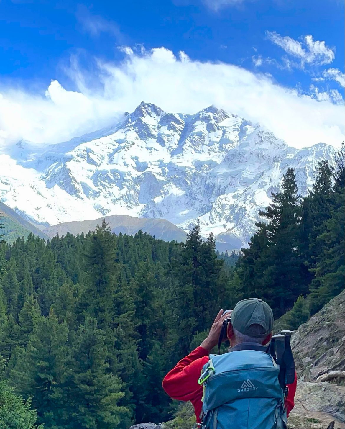 Nanga Parbat View