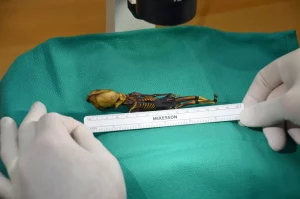 Tiny Mummy’s ‘Alien’ Appearance- Courtesy National Geographic 2017