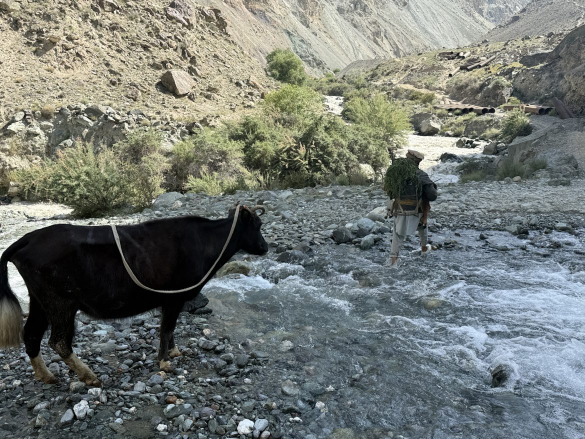 A shepherd crossing the stream